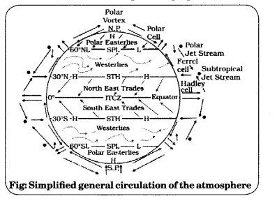 Class-11-Geography-NCERT-Solutions-Chapter-10-Atmospheric-Circulation-and-Weather-Systems-Q3
