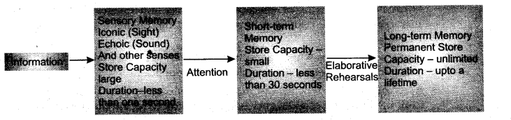 NCERT-Solutions-for-Class-11-Psychology-Chapter-7-Human-Memory-Q2