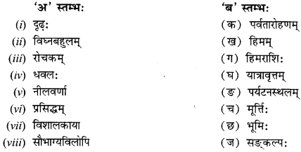 NCERT-Solutions-for-Class-12-Sanskrit-Chapter-5-अहो-राजते-कीदृशीयं-हिमानी-Q6