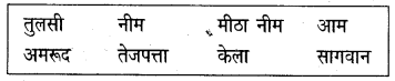 NCERT-Solutions-for-Class-5-Hindi-Chapter-15-बिशन-की-दिलेरी-1