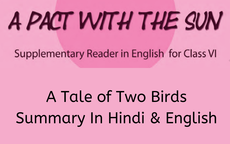 A-Tale-of-Two-Birds-Summary-Class-6-English