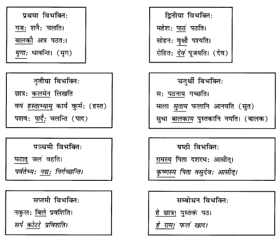 Abhyasvan-Bhav-Sanskrit-Class-9-Solutions-Chapter-10-शब्दरूपाणि-1