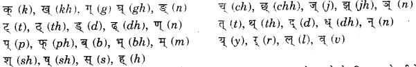 CBSE-Class-11-Sanskrit-वर्णानाम्-उच्चारणस्थानम्-1