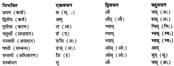 CBSE-Class-11-Sanskrit-शब्दरूपाणि-1