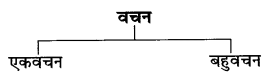 CBSE-Class-6-Hindi-Grammar-वचन