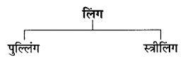 CBSE-Class-6-Hindi-Grammar-संज्ञा-के-विकार