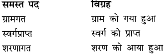 CBSE Class 9 Hindi A व्याकरण समास 5