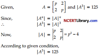 CBSE Sample Papers for Class 12 Applied Mathematics Set 2 with Solutions img-5