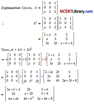CBSE Sample Papers for Class 12 Applied Mathematics Set 5 with Solutions img-8