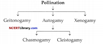 CBSE Sample Papers for Class 12 Biology Set 2 with Solutions Q31