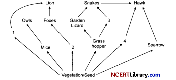 CBSE Sample Papers for Class 12 Biology Set 3 with Solutions Q7