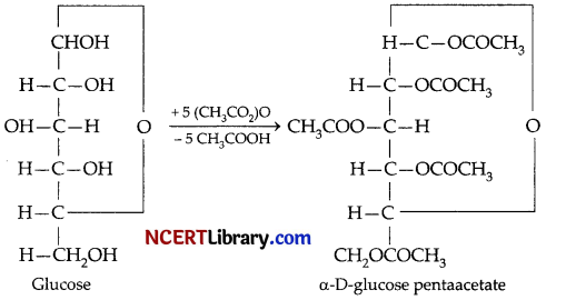 CBSE Sample Papers for Class 12 Chemistry Set 5 with Solutions 32
