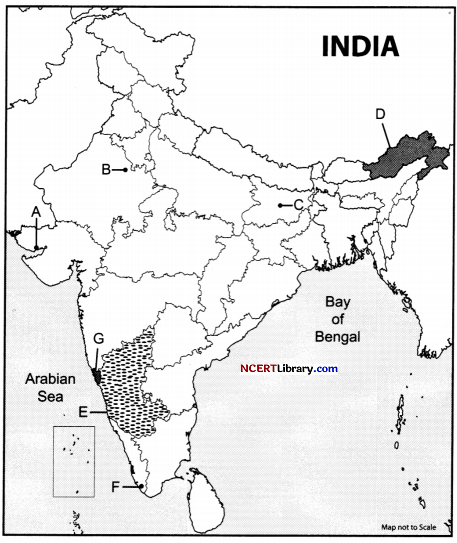 CBSE Sample Papers for Class 12 Geography Set 1 with Solutions 30