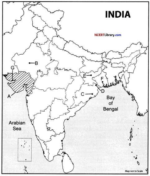CBSE Sample Papers for Class 12 Geography Set 4 with Solutions 30