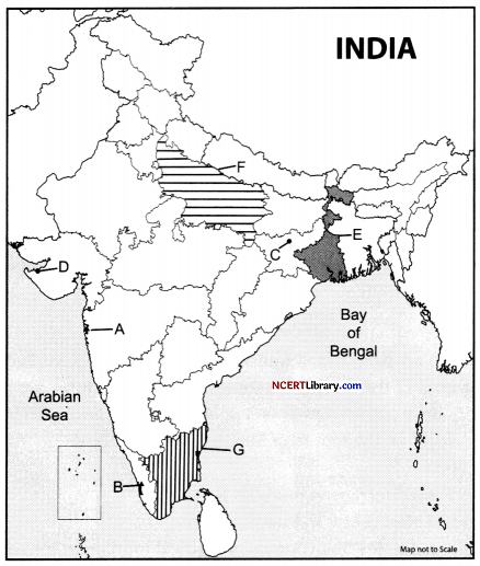 CBSE Sample Papers for Class 12 Geography Set 5 with Solutions 30