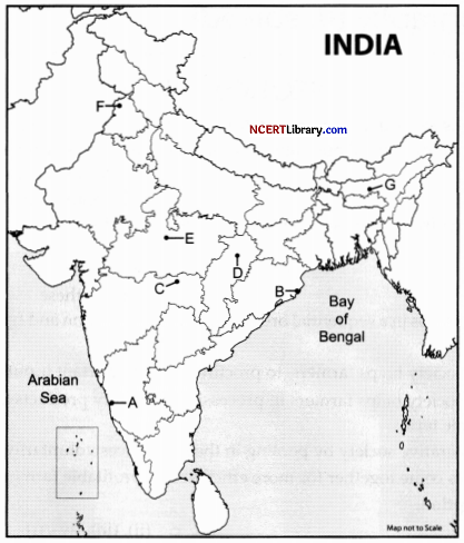CBSE Sample Papers for Class 12 Geography Set 7 with Solutions 30