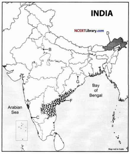 CBSE Sample Papers for Class 12 Geography Set 8 for Practice 30