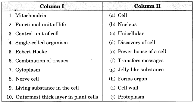 Cell-Structure-and-Functions-Class-8-Extra-Questions-Science-Chapter-8-1