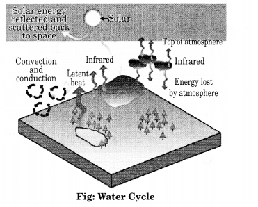 Class-11-Geography-NCERT-Solutions-Chapter-11-Water-in-the-Atmosphere-HOTS-Q2