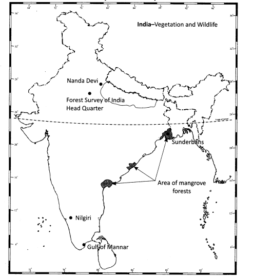 Class-11-Geography-NCERT-Solutions-Chapter-5-Natural-Vegetation-Activity-Q1
