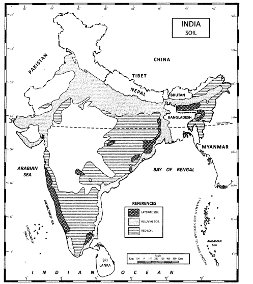 Class-11-Geography-NCERT-Solutions-Chapter-6-Soils-Activity-Q2