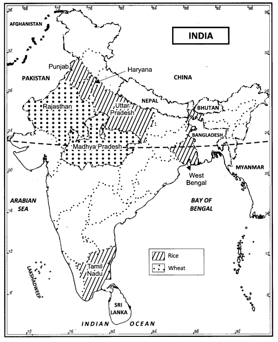 Class-12-Geography-NCERT-Solutions-Chapter-5-Land-Resources-and-Agriculture-Map-Based-Questions-Q1