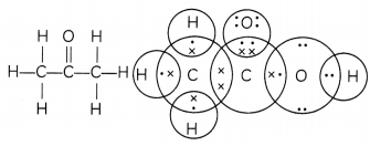 Covalent Bonding in Carbon 6