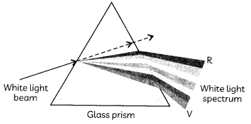 Dispersion of White Light By A Glass Prism 1