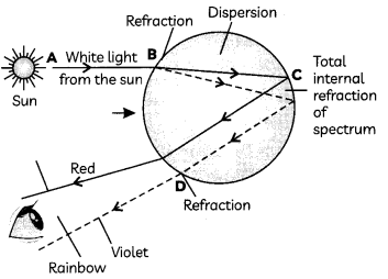 Dispersion of White Light By A Glass Prism 3