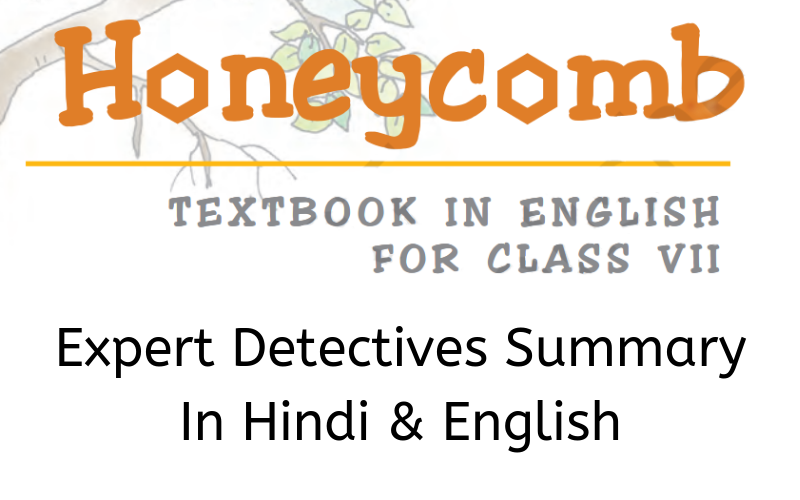 Expert-Detectives-Summary-Class-7-English