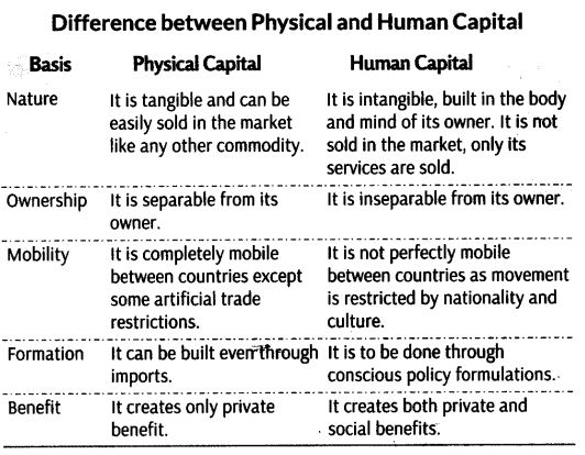 Human-Capital-Formation-in-India-Class-11-Notes-Chapter-6-Indian-Economic-Development-1