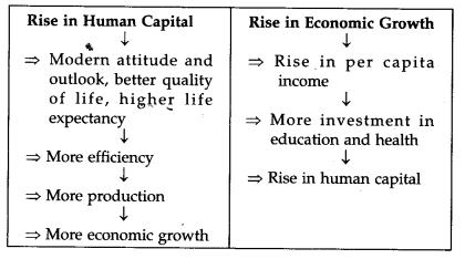 Human-Capital-Formation-in-India-NCERT-Solutions-for-Class-11-Indian-Economic-Development-Q15