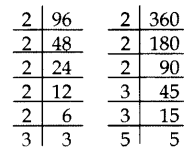 Important Questions for Class 10 Maths Chapter 1 Real Numbers 2