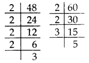 Important Questions for Class 10 Maths Chapter 1 Real Numbers 9