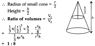 Important Questions for Class 10 Maths Chapter 13 Surface Areas and Volumes 3