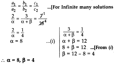 Important Questions for Class 10 Maths Chapter 3 Pair of Linear Equations in Two Variables 20