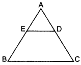 Important Questions for Class 10 Maths Chapter 6 Triangles 44
