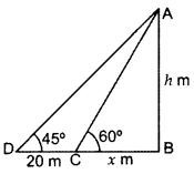 Important Questions for Class 10 Maths Chapter 9 Some Applications of Trigonometry 40