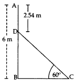 Important Questions for Class 10 Maths Chapter 9 Some Applications of Trigonometry 5