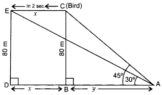 Important Questions for Class 10 Maths Chapter 9 Some Applications of Trigonometry 59