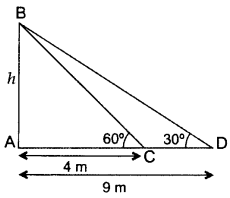 Important Questions for Class 10 Maths Chapter 9 Some Applications of Trigonometry 61
