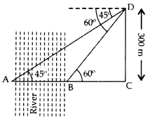 Important Questions for Class 10 Maths Chapter 9 Some Applications of Trigonometry 66