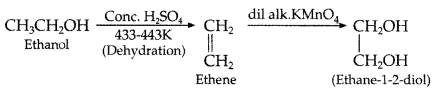 Important Questions for Class 12 Chemistry Chapter 11 Alcohols, Phenols and Ethers Class 12 Important Questions 10