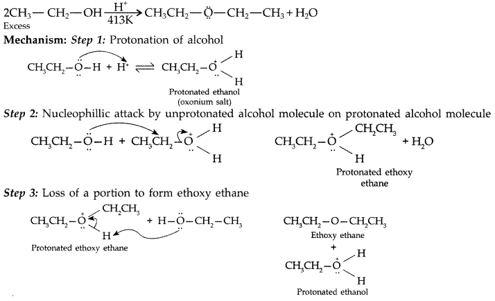Important Questions for Class 12 Chemistry Chapter 11 Alcohols, Phenols and Ethers Class 12 Important Questions 43