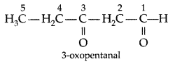Important-Questions-for-Class-12-Chemistry-Chapter-12-Aldehydes-Ketones-and-Carboxylic-Acids-Class-12-Important-Questions-1