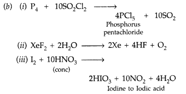 Important Questions for Class 12 Chemistry Chapter 7 The p-Block Elements Class 12 Important Questions 67