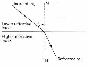 MCQ Questions for Class 10 Science Chapter 10 Light Reflection and Refraction with Answers 16