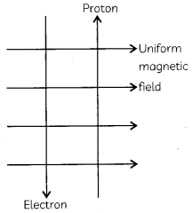 MCQ Questions for Class 10 Science Chapter 13 Magnetic Effects of Electric Current with Answers 3