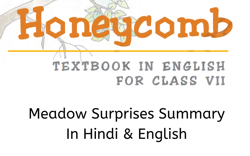 Meadow-Surprises-Summary-Class-7-English