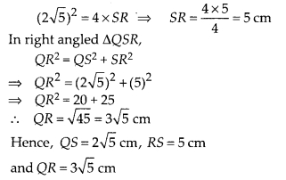 NCERT Exemplar Class 10 Maths Chapter 6 Triangles Ex 6.4 Q10.1